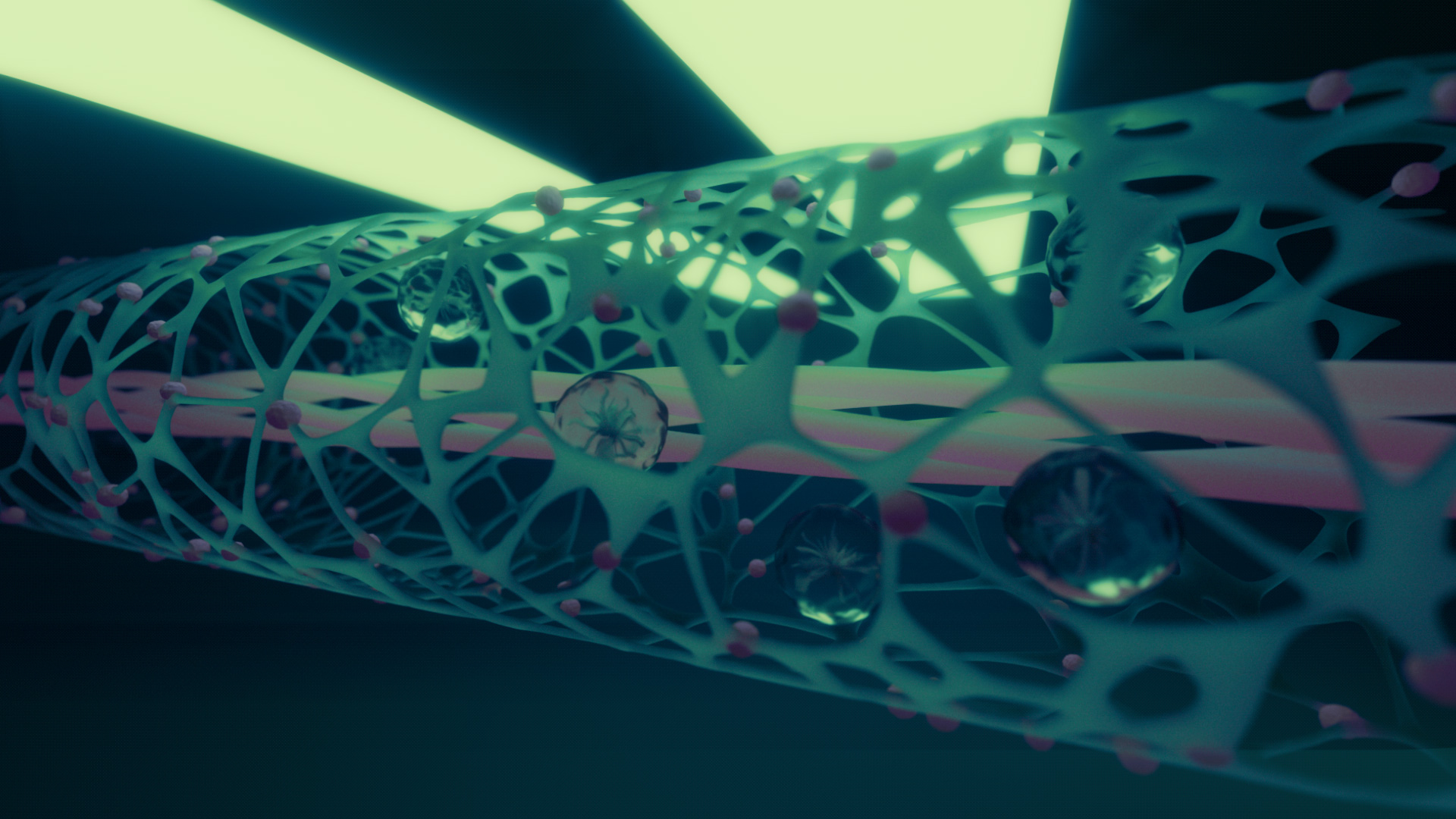 Project Red